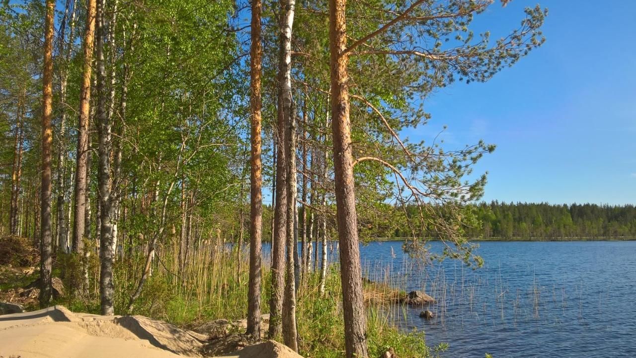 Шале Lake Cottage Koivuniemi Колинкюла